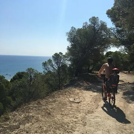 Leucate
